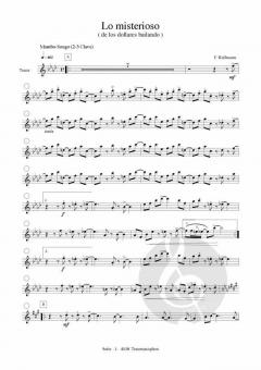 Lo Misterioso von Friedrich Kullmann 