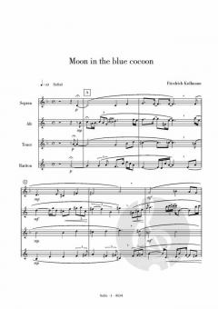 Moon in the Blue Cocoon von Friedrich Kullmann 