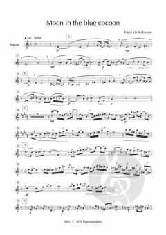 Moon in the Blue Cocoon von Friedrich Kullmann 