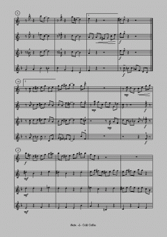 Old Shoes von Ulrich Nehls 