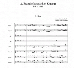 Brandenburgisches Konzert Nr. 3 BWV 1048 von Johann Sebastian Bach 