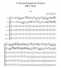 Brandenburgisches Konzert Nr. 6 BWV 1051 von Johann Sebastian Bach 