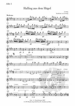 Halling aus dem Hügel von Edvard Grieg 