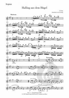 Halling aus dem Hügel von Edvard Grieg 