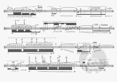 Animae von Nadir Vassena 