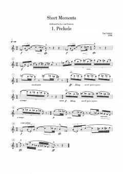 Short Moments von Ton Verhiel 