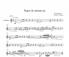 Tegen de stroom op von Margit Ehlen 