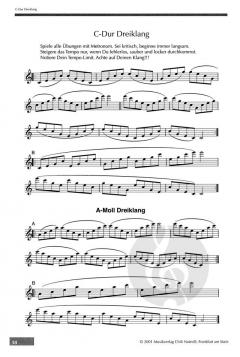 Das beinharte Saxophon-Training: Die Härte 2 von Brahm Wenger (Download) 