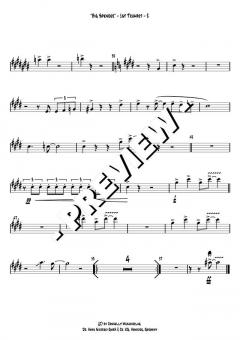 Big Spender von Bassey 