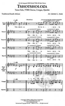 Tshotsholoza 