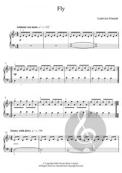 Fly von Ludovico Einaudi 