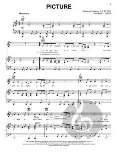 Picture von Kid Rock 