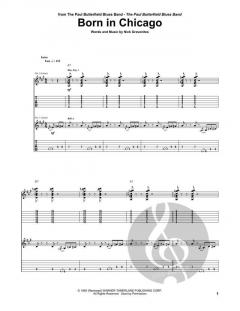 Born In Chicago von Nick Gravenites 