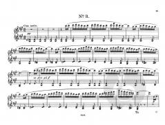 Piano Anthology Grade 8 2001-2002 von Moritz Moszkowski 