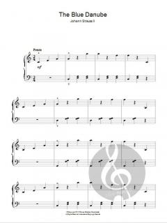 (On The Beautiful) The Blue Danube von Johann Strauss (Sohn) 