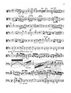 Divertimento Nr. 113 D-Dur Hob.XI:113 von Joseph Haydn 