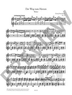 Zither-Erfolge Heft 1 im Alle Noten Shop kaufen kaufen