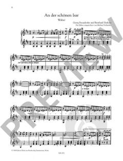 Zither-Erfolge Heft 1 im Alle Noten Shop kaufen kaufen