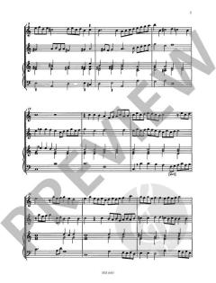 La Massimiliana / La Ioannina von Giovanni Martino Cesare für 2 Cornetti (Zinken) oder 2 Violinen oder andere Melodie-Instrumente und B. c. ad lib. im Alle Noten Shop kaufen