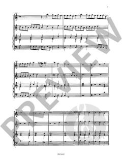 La Massimiliana / La Ioannina von Giovanni Martino Cesare für 2 Cornetti (Zinken) oder 2 Violinen oder andere Melodie-Instrumente und B. c. ad lib. im Alle Noten Shop kaufen