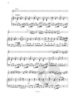 Konzert a-moll BWV 1041 von Johann Sebastian Bach 