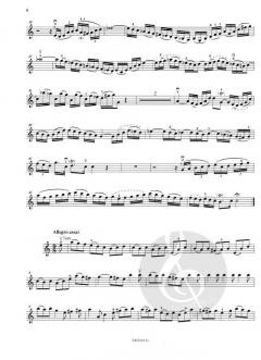 Konzert a-moll BWV 1041 von Johann Sebastian Bach 