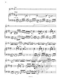 Konzert E-Dur BWV 1042 von Johann Sebastian Bach 