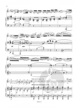 Introduction et Rondo capriccioso op. 28 von Camille Saint-Saëns für Violine und Klavier im Alle Noten Shop kaufen