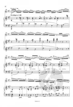 Introduction et Rondo capriccioso op. 28 von Camille Saint-Saëns für Violine und Klavier im Alle Noten Shop kaufen