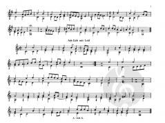 Aus: Ein newgeordnet künstlich Lautenbuch von Hans Newsidler 