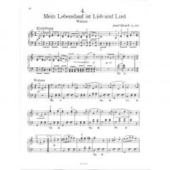 Strauß für die Jugend Band 3 