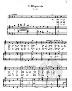 Aus dem kleinen Rosengarten Band 1 