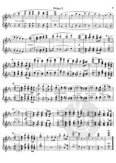 Feierlicher Einzug von Richard Strauss 