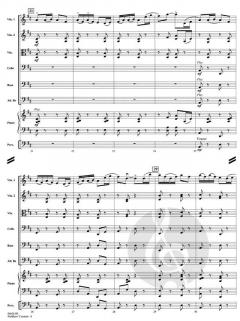 Fiddlers' Contest von Shelley Hanson 