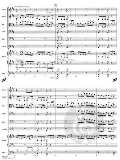 Fiddlers' Contest von Shelley Hanson 