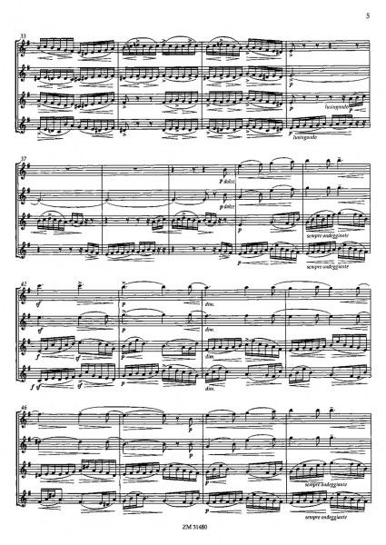 Die Moldau von Bedrich Smetana » Noten für Flöte